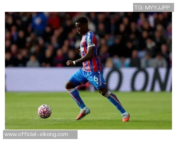 热刺大股东刘易斯家族信托注资1亿镑助力俱乐部发展